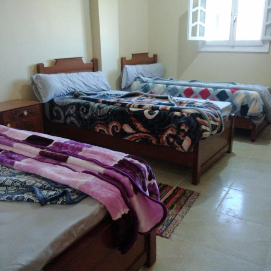 Addas Home Siwa Oasis Екстер'єр фото